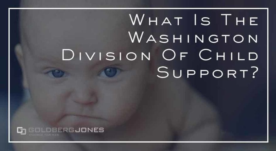 purpose Division of Child Support