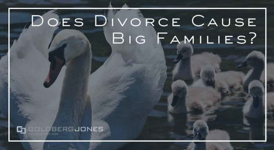 does divorce cause larger families