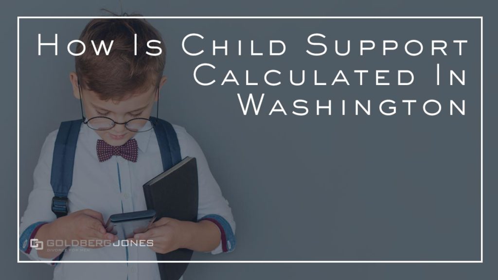 what's involved in child support payment