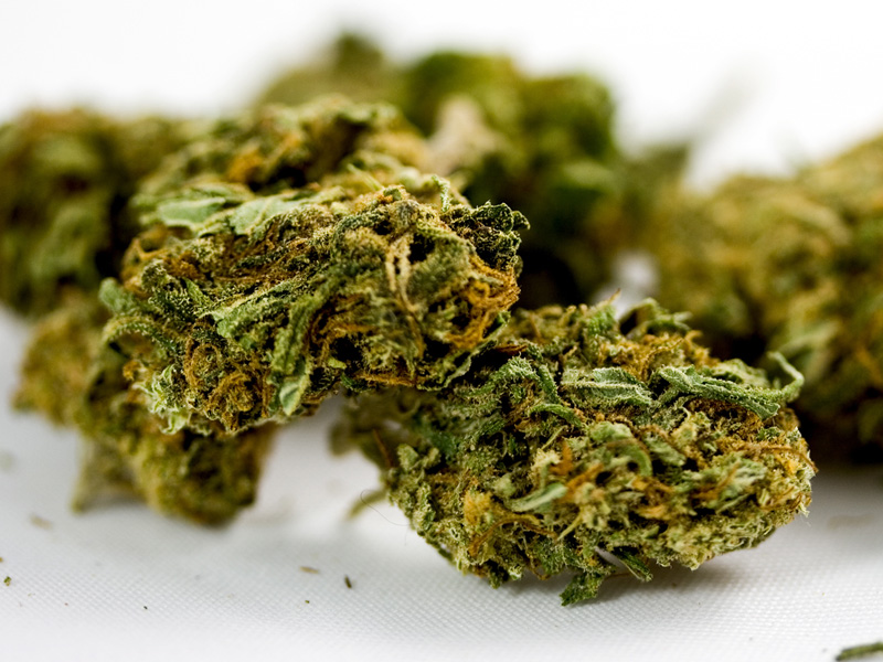 child custody and marijuana