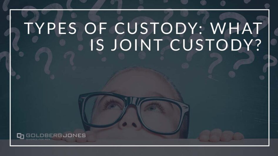 what is joint custody