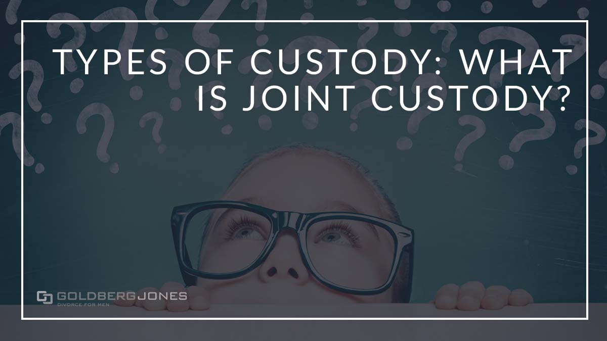 what is joint custody