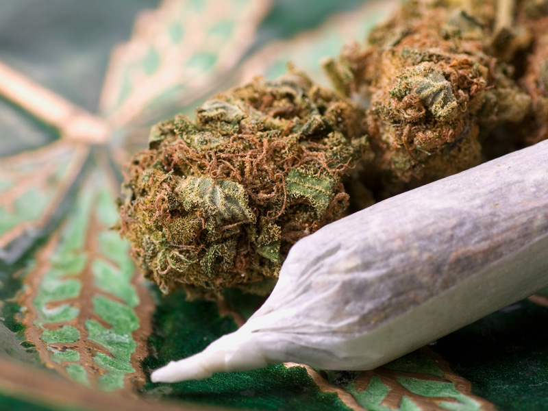 child custody and cannibis